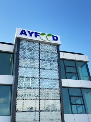 Ayfood
