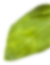 Ayfood