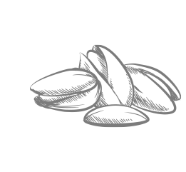 Shape