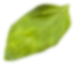 azvak